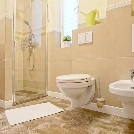 Maximus Apartment Brasov