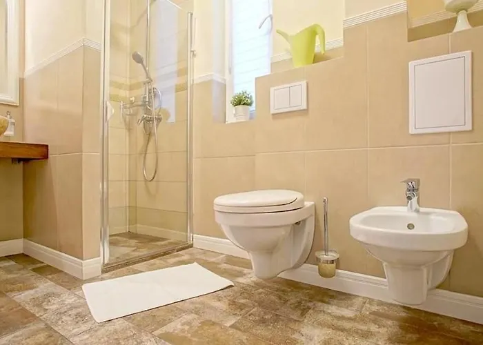 Maximus 아파트 브라쇼브