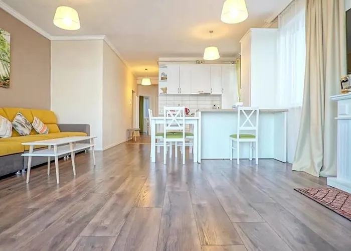 Maximus * 브라쇼브